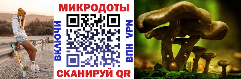 наркотики  Западная Двина  Галлюциногенные грибы MAGIC MUSHROOMS 